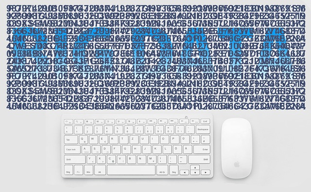 data verification