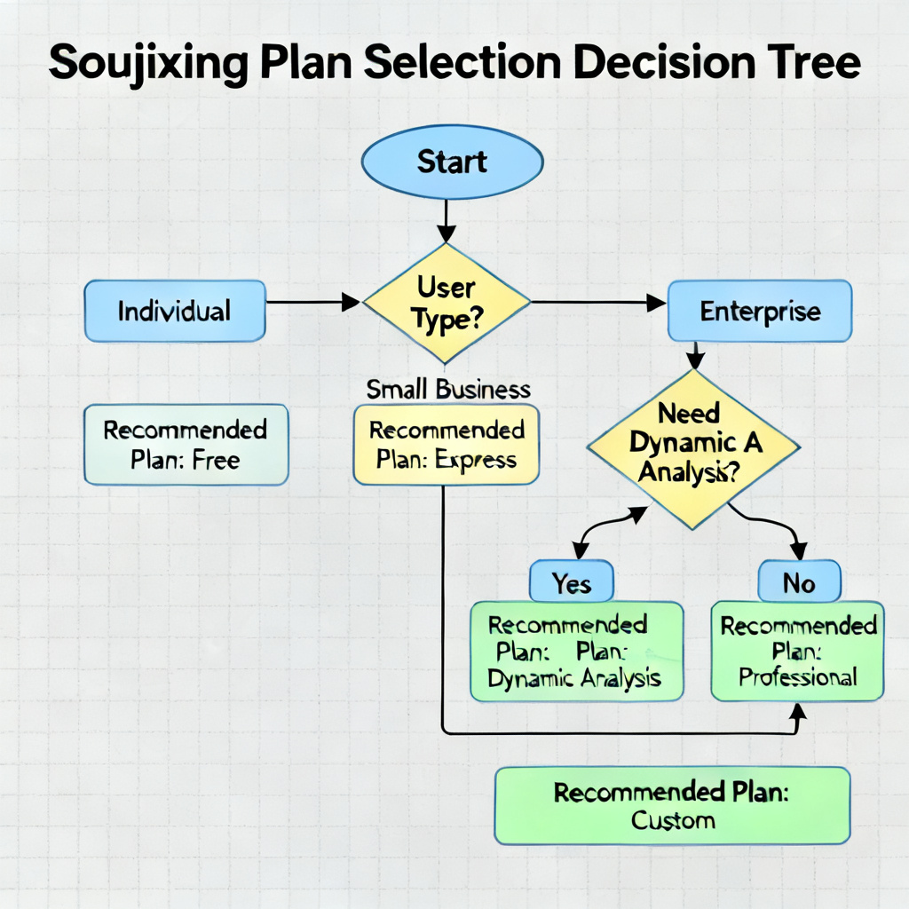 A decision tree flowchart for choosing the right Soujixing plan, starting from user type (individual, small business, enterprise) and leading to recommended plan (Free, Express, Professional, Dynamic Analysis, Custom).